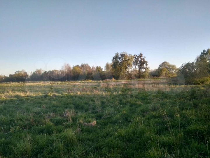 Участок 8 сот. (ИЖС)