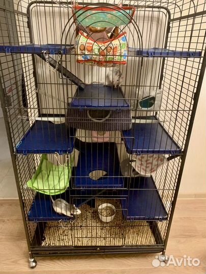 Клетка для грызунов очень большая на колесах