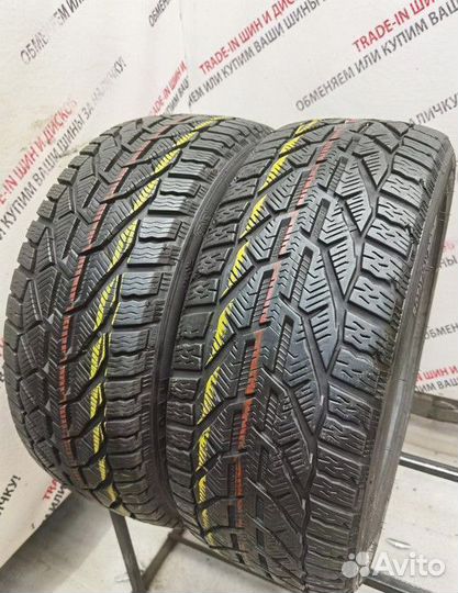 Riken Snow 225/45 R17 94H