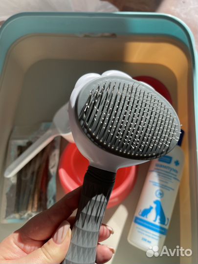 Лоток, расческа, шапунь, миска для кошек