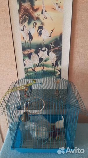 Клетка для птиц