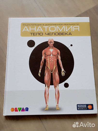 Энциклопедия Тело человека Devar
