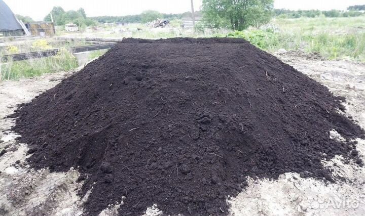 Чернозем (грунт, земля)