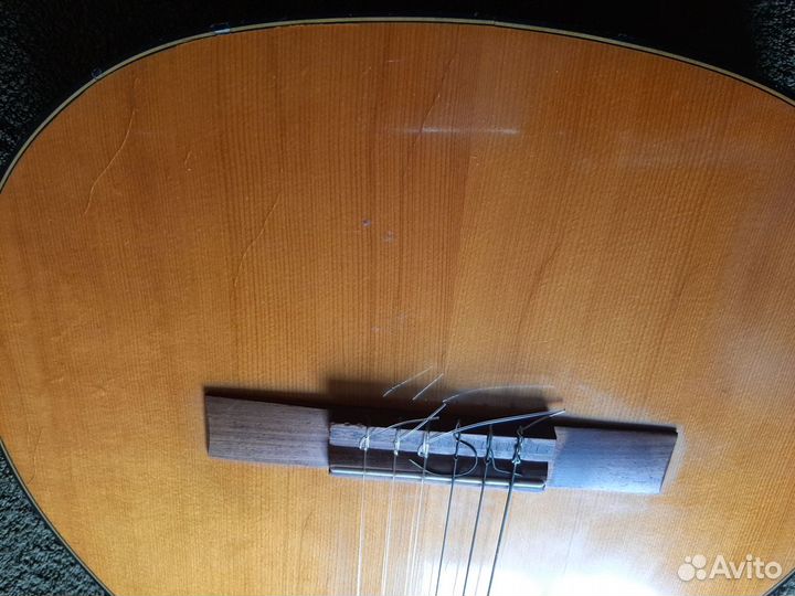 Гитара Musima Classic