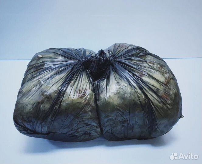 Суточные цыплята замороженные