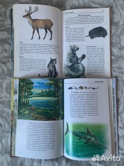 Книги серии Школьный путеводитель