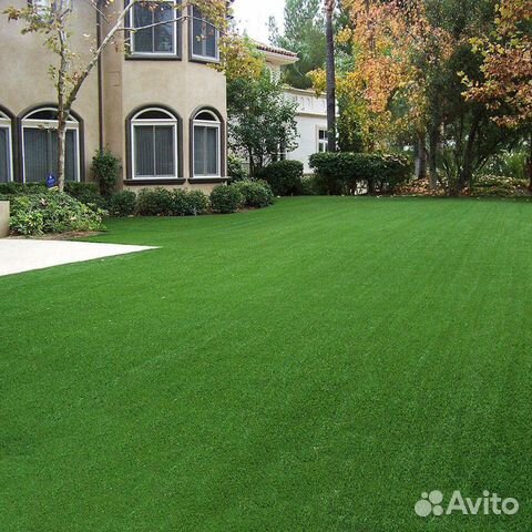 Семена для многолетних газонных трав