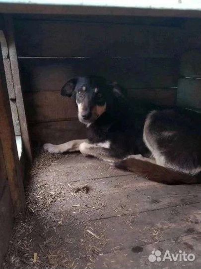 Забери меня домой