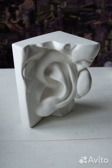 Ухо Давида (гипс)