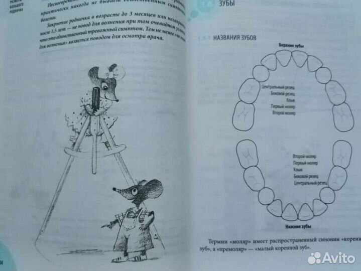 Комаровский Большой справочник по развитию детей