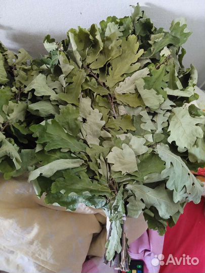 Дубовые веники для бани