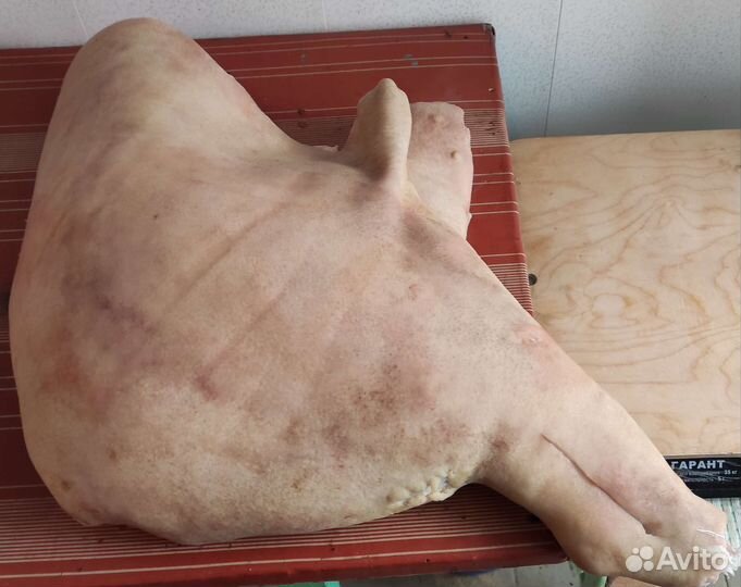 Свинина, крольчатина