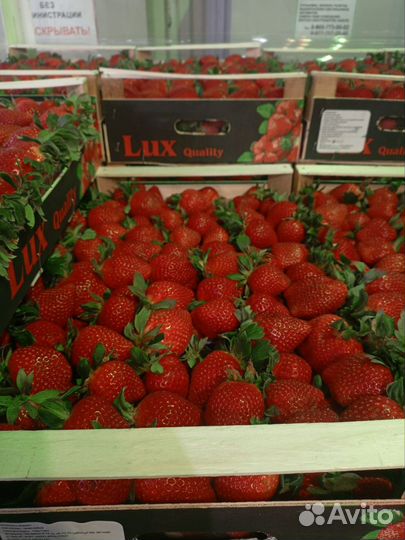 Доставка фруктов, овощей и ягод