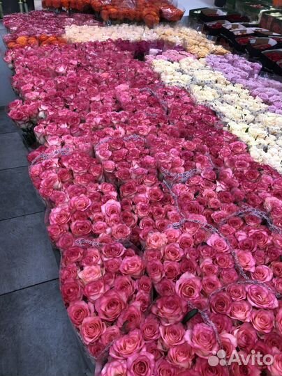 Цветы букеты с доставкой Роза Джумилия