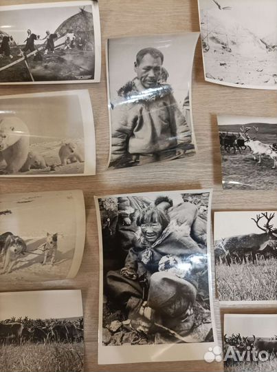 Фотографии дальнего севера