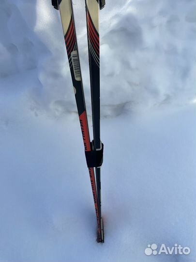 Лыжи беговые Sable Nordic Tour