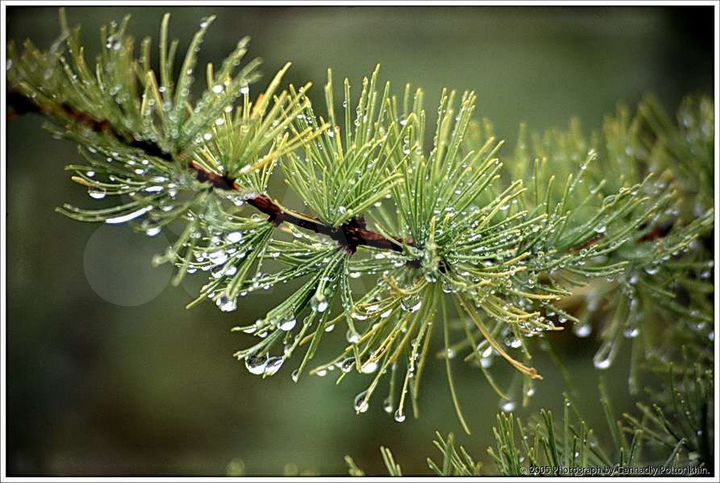 Дача 25 м² на участке 1 сот.