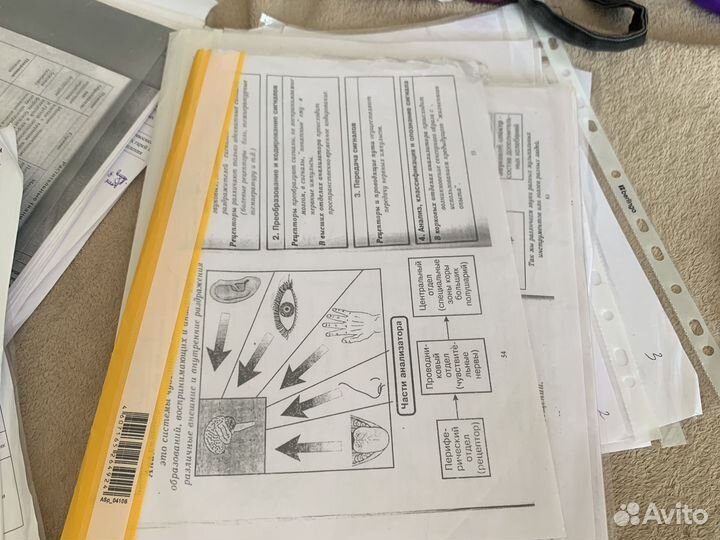 Шпаргалки егэ