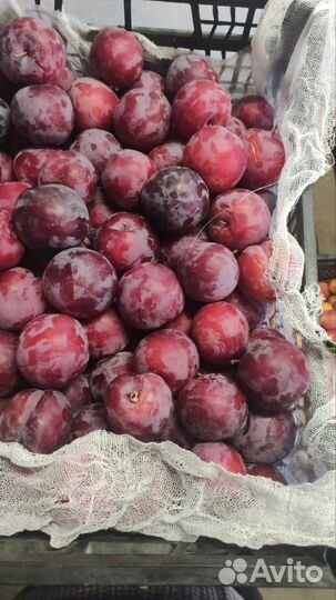 Сливы, персик инжир