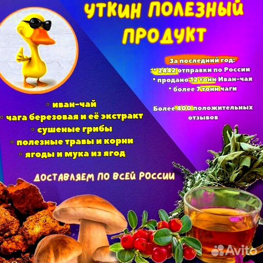 Иван чай опт