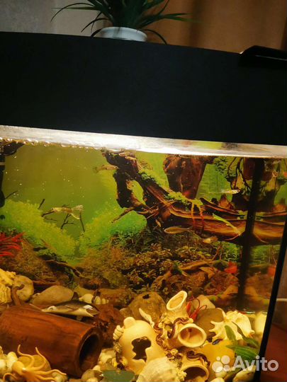 Аквариум