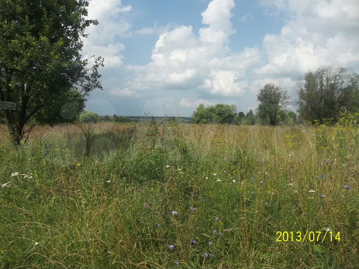 Участок 67 сот. (ИЖС)