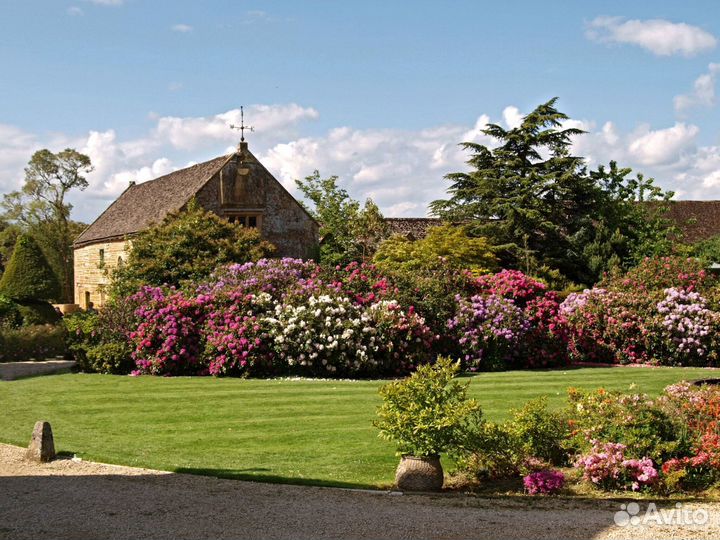 Натуральный рулонный газон