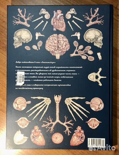 Анатомикум книга кэти видеман дженнифер пакстон