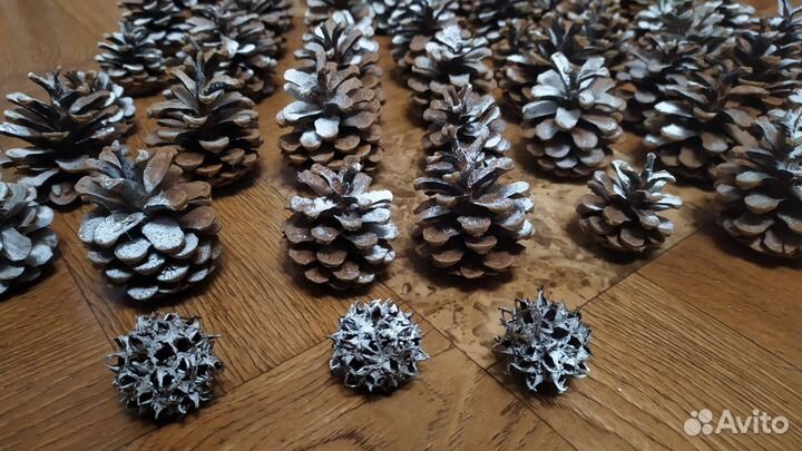 Шишки заснеженные