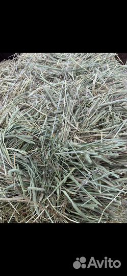 Сено в мешках