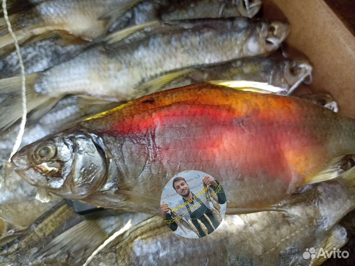Гигантская тарань вяленая с икрой