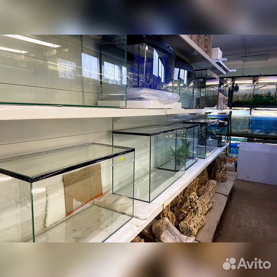 Аквариум в ассортименте