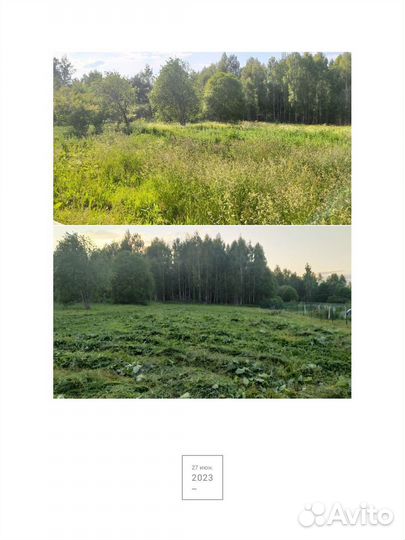 Покос травы триммером