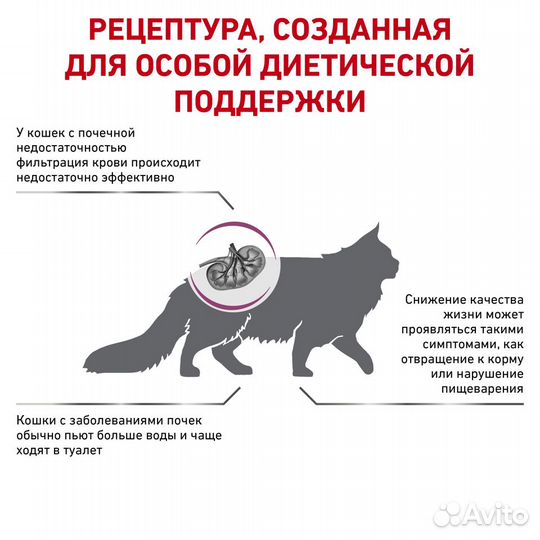 2 кг, Royal Canin Renal for Cat