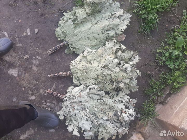 Веники для бани