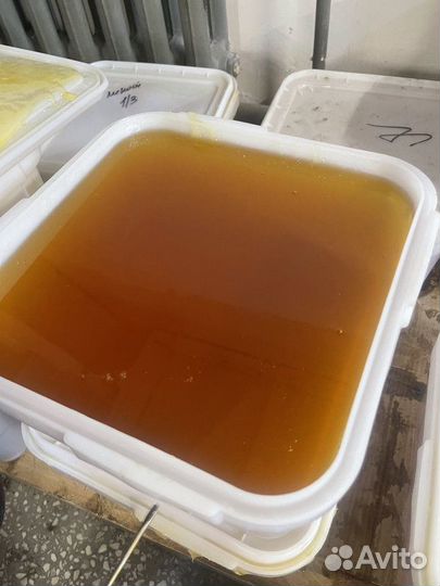 Цветочный свежий натуральный мёд 2023 г. опт