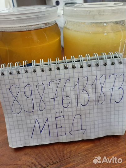 Мед гречишный 2023