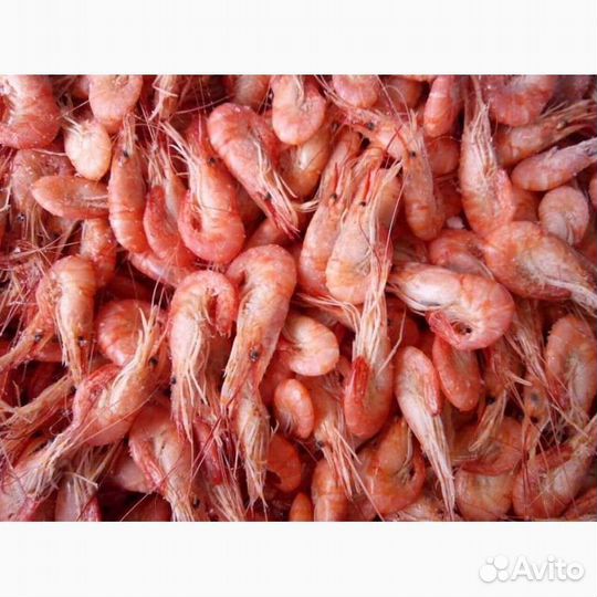 Креветки черноморские