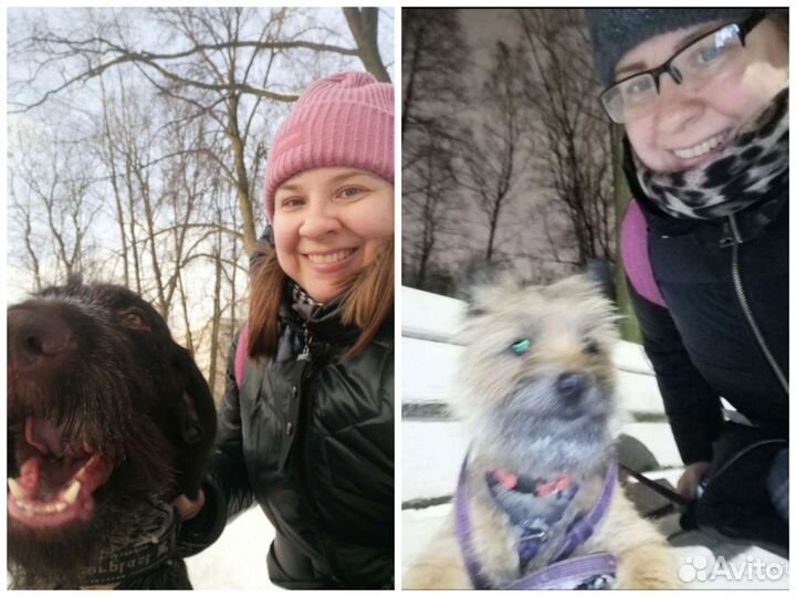 Выгул собак Выгульщик Удельная