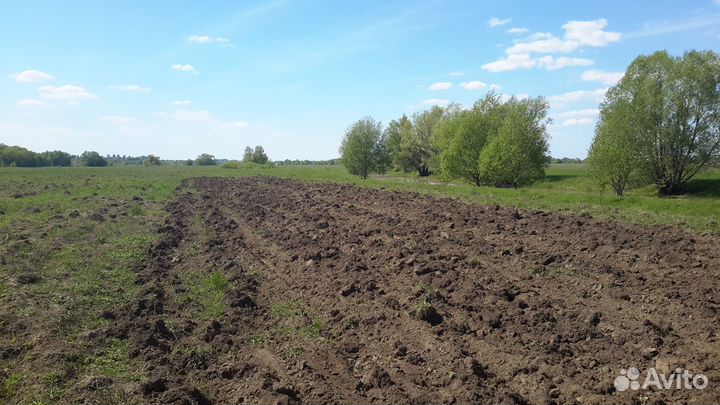 Благоустройство участка /Вспашка/Газон/Расчистка