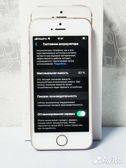 iPhone SE