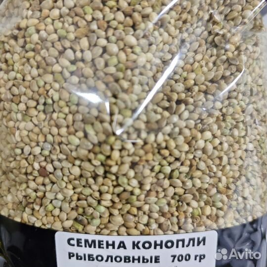 Семена конопли для рыбалки