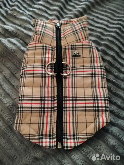 Жилетка для маленьких собак