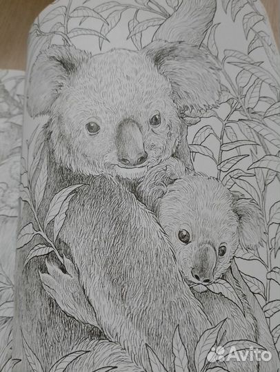 Экстремальные раскраски (аниморфозы) новые Бронь