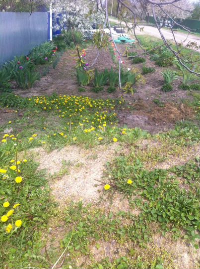 Дом 92,9 м² на участке 50 сот.