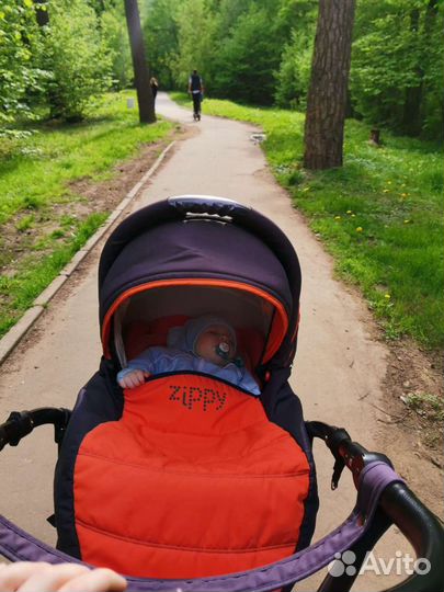 Коляска zippy 3 в 1