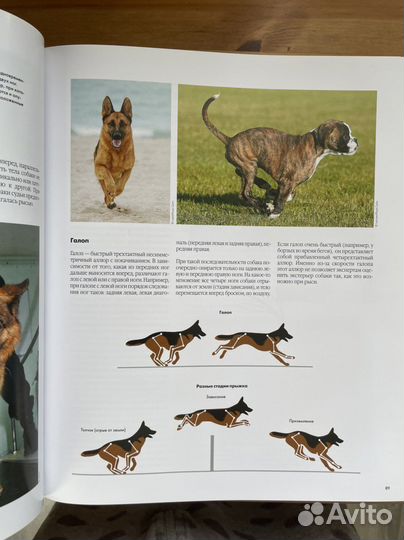 Энциклопеция Собаки