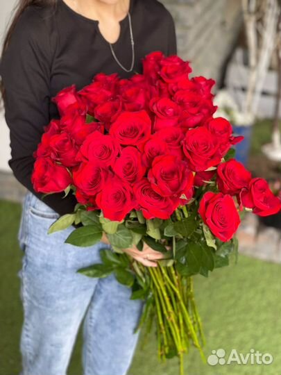 Розы роза цветы