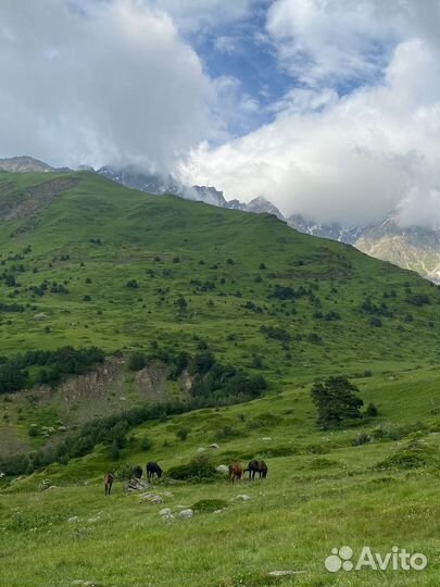 Тур по Кавказу