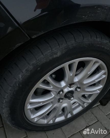 Калеса пауки